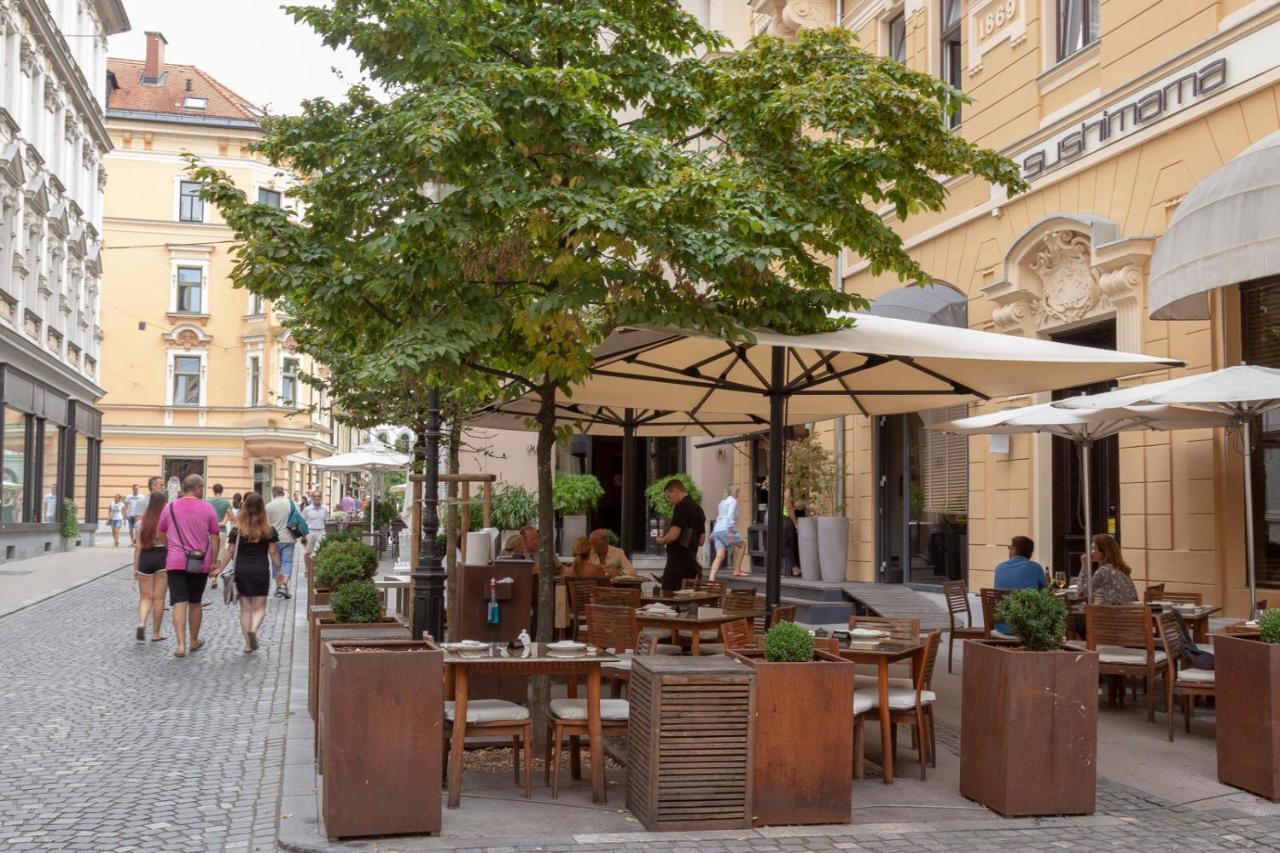 Central Apartment With Private Garage Любляна Екстер'єр фото